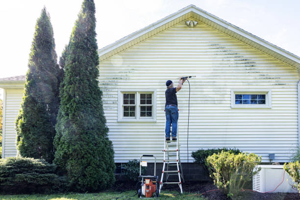 Best Roof Washing  in Sunray, TX
